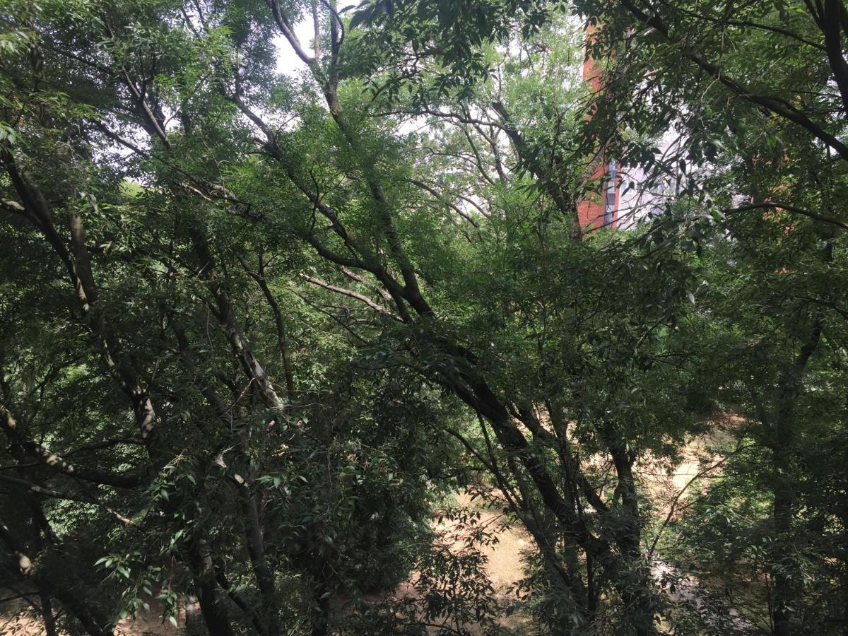 Apartment Ljiljana Belgrad Zewnętrze zdjęcie