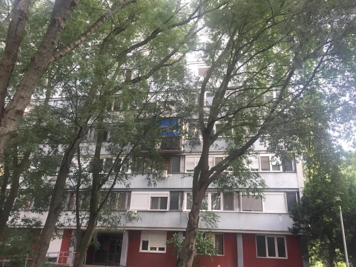 Apartment Ljiljana Belgrad Zewnętrze zdjęcie