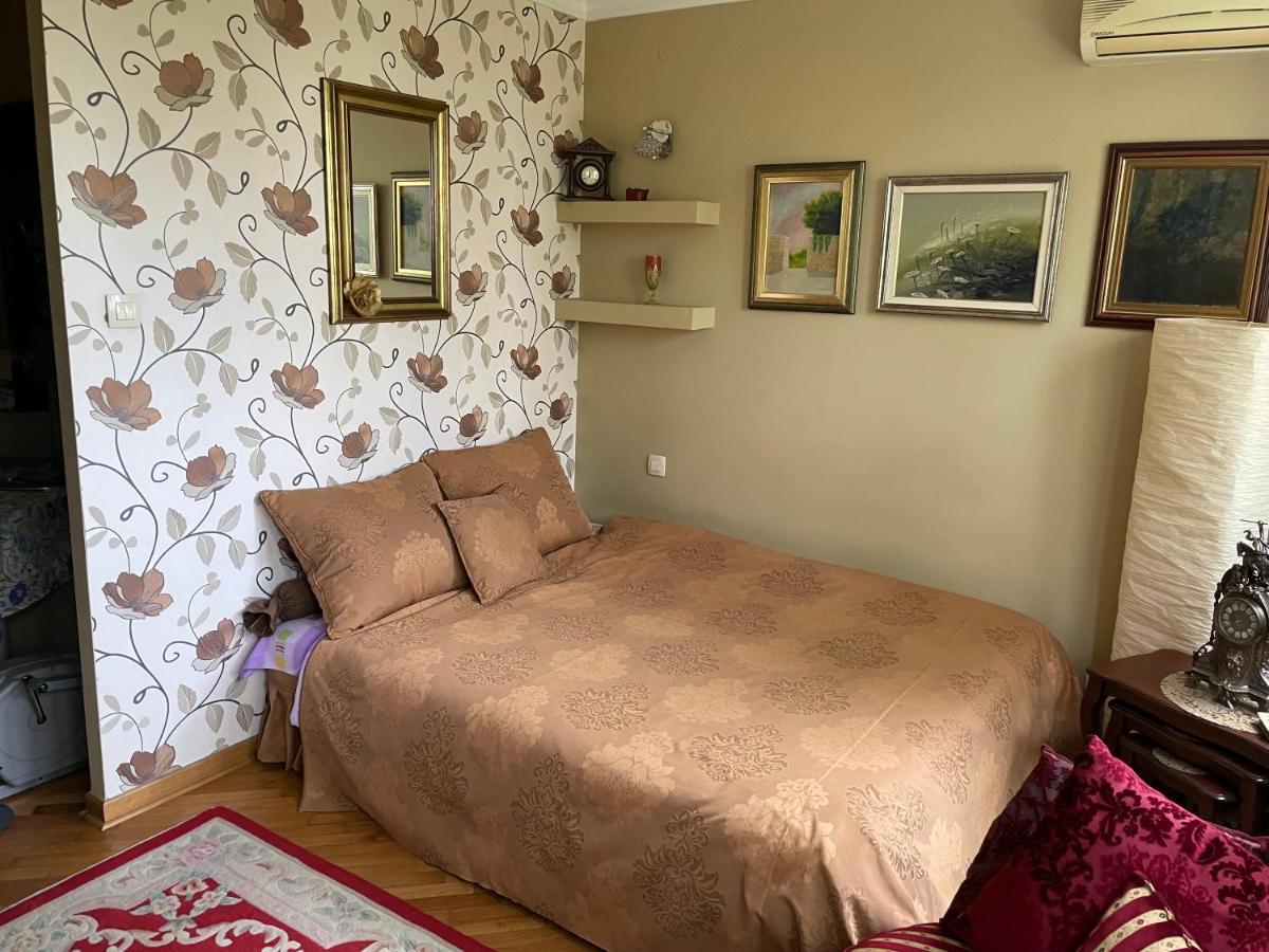 Apartment Ljiljana Belgrad Zewnętrze zdjęcie
